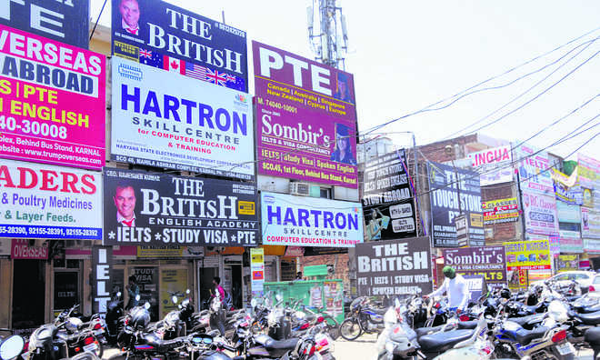 Punjabis prefer IELTS brides