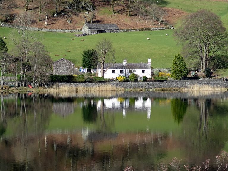The Covid fall-out on Centres of Excellence